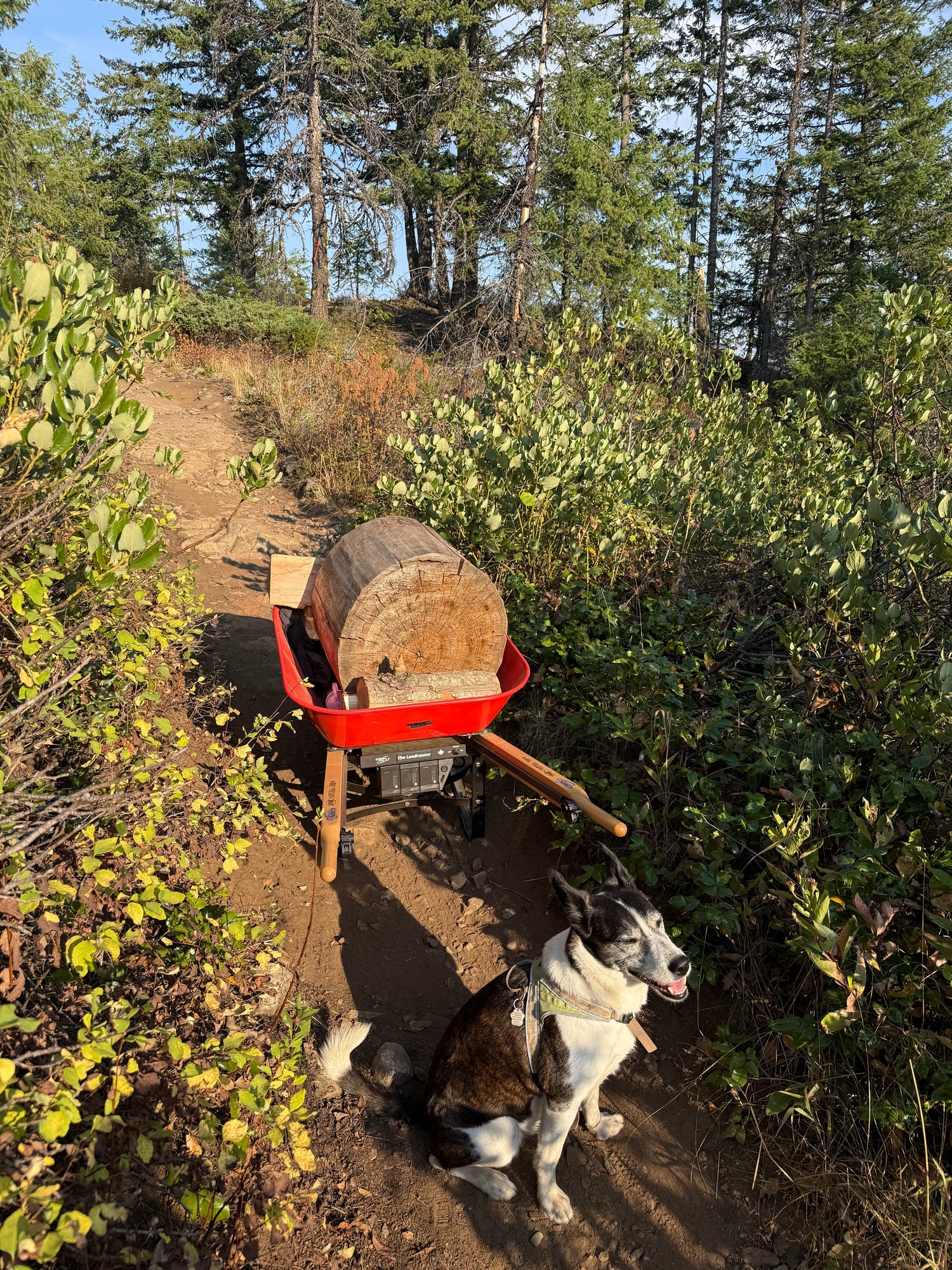 Grin Loadrunner